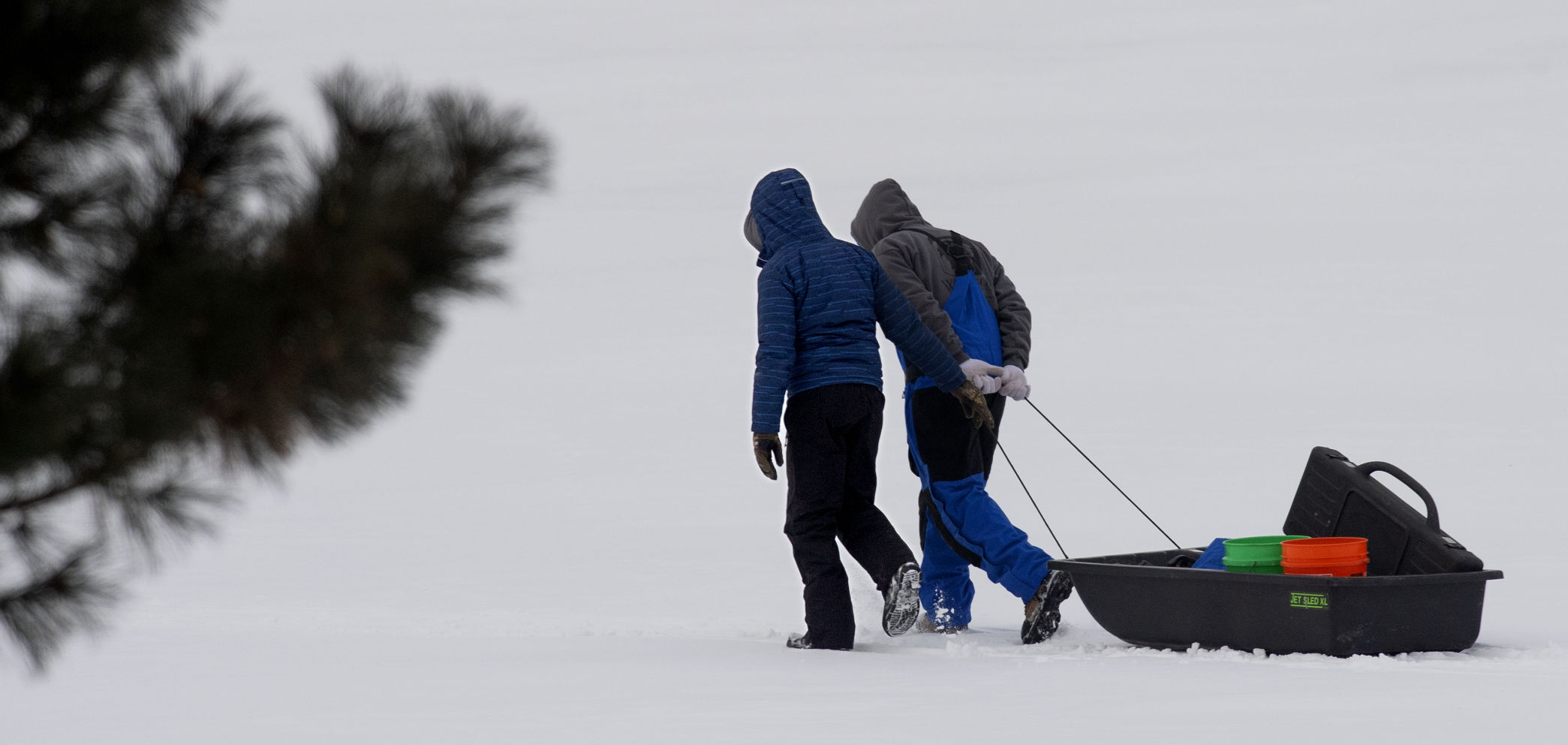 Top Journal Star photos for February